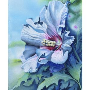 Hibiskus - Kunstkarte A5