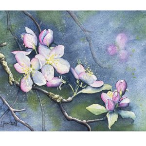 Apfelblüte - Kunstkarte A5