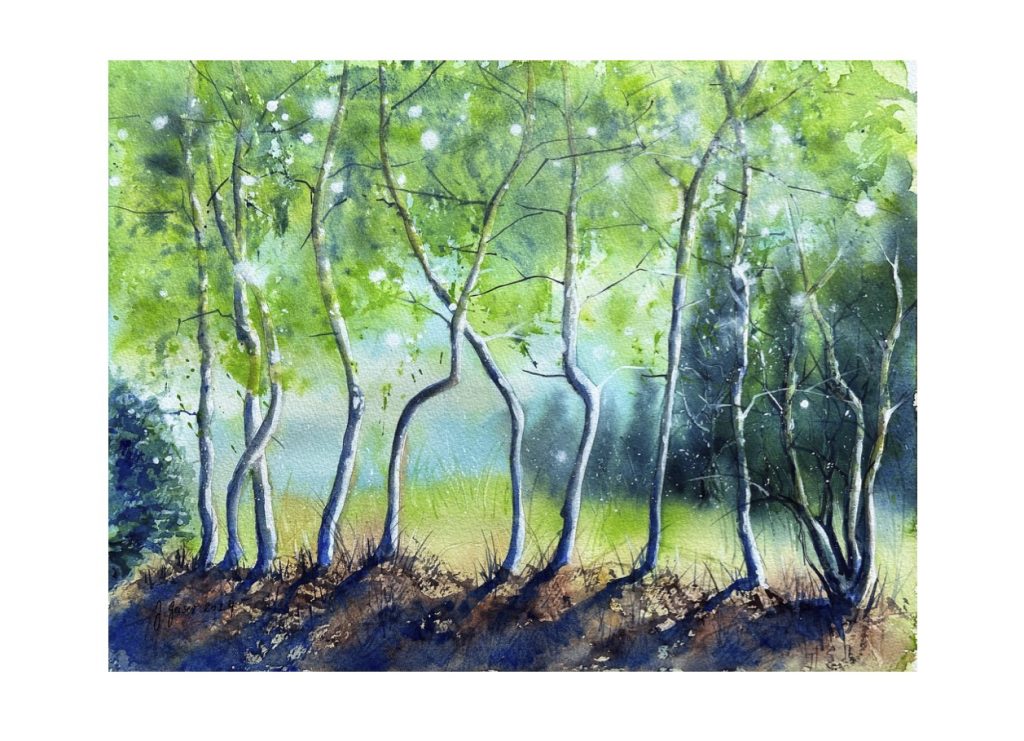 Zitterpappeln im Morgenlicht - Kunstkarte A5