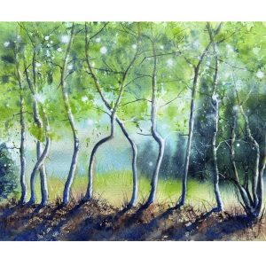 Zitterpappeln im Morgenlicht - Kunstkarte A5